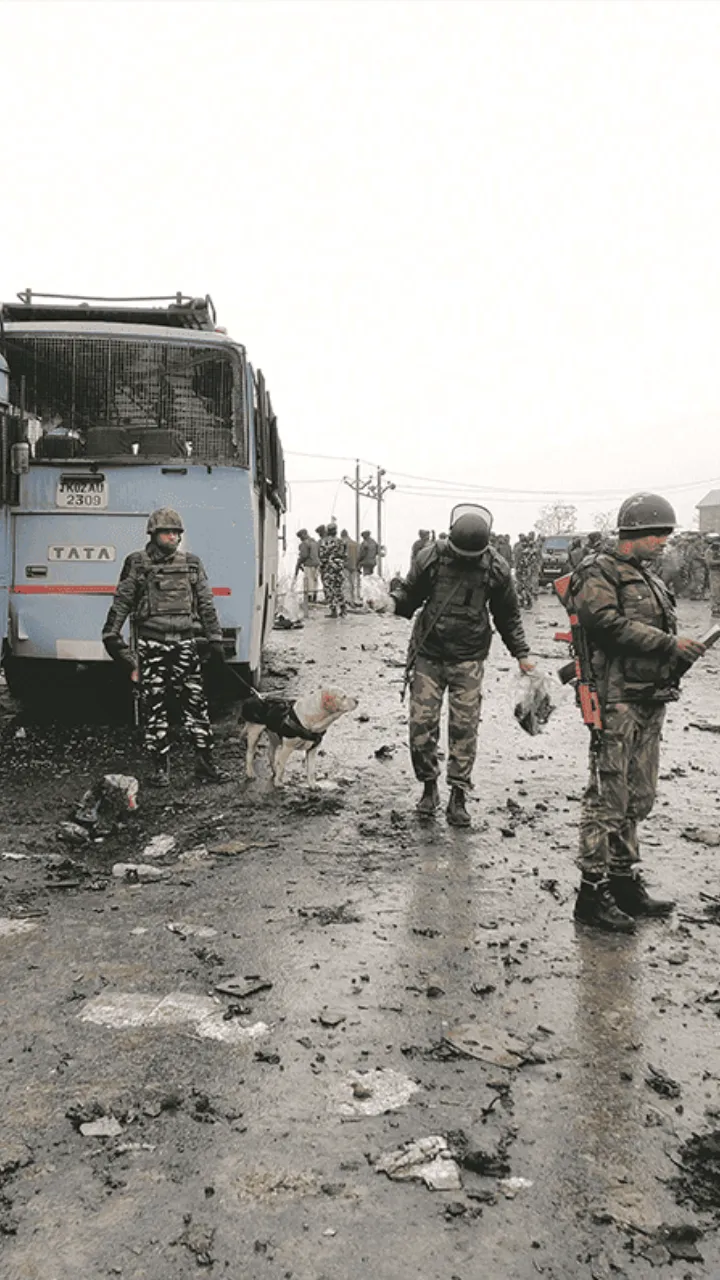 14 February Black Day Status Video in English 2026 Free HD