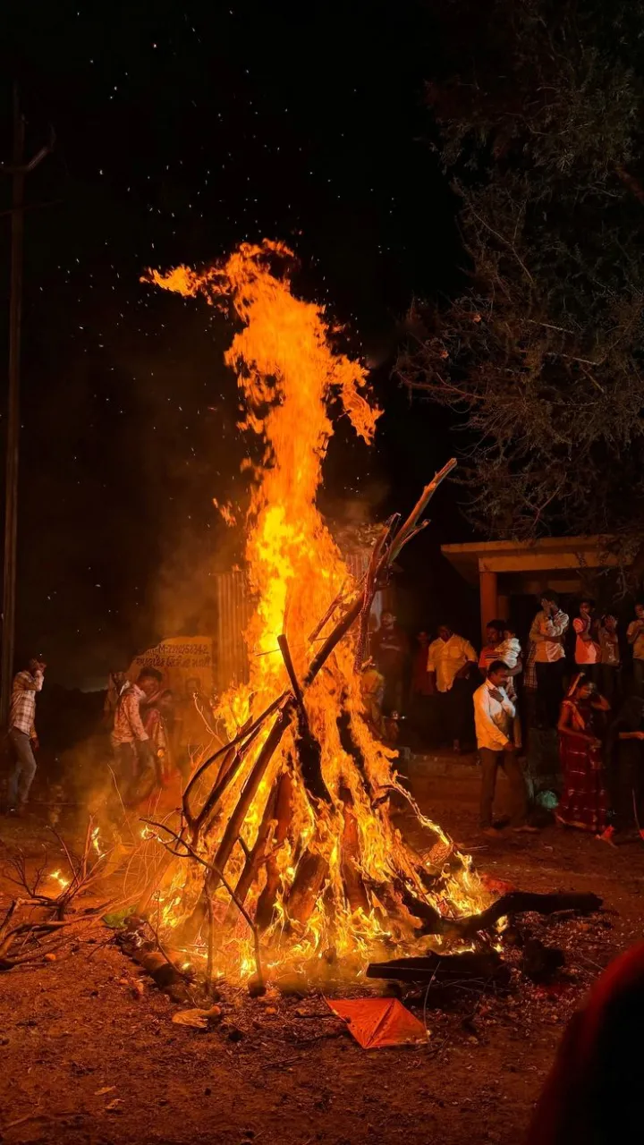 Share a Happy Holi Status Video with Friends and Family