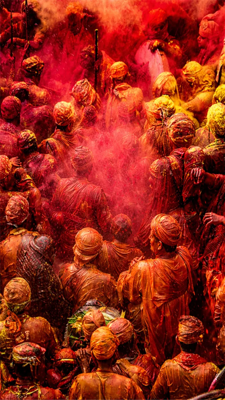 Best Happy Holi Festival Status Video in Hindi 2026 Free HD