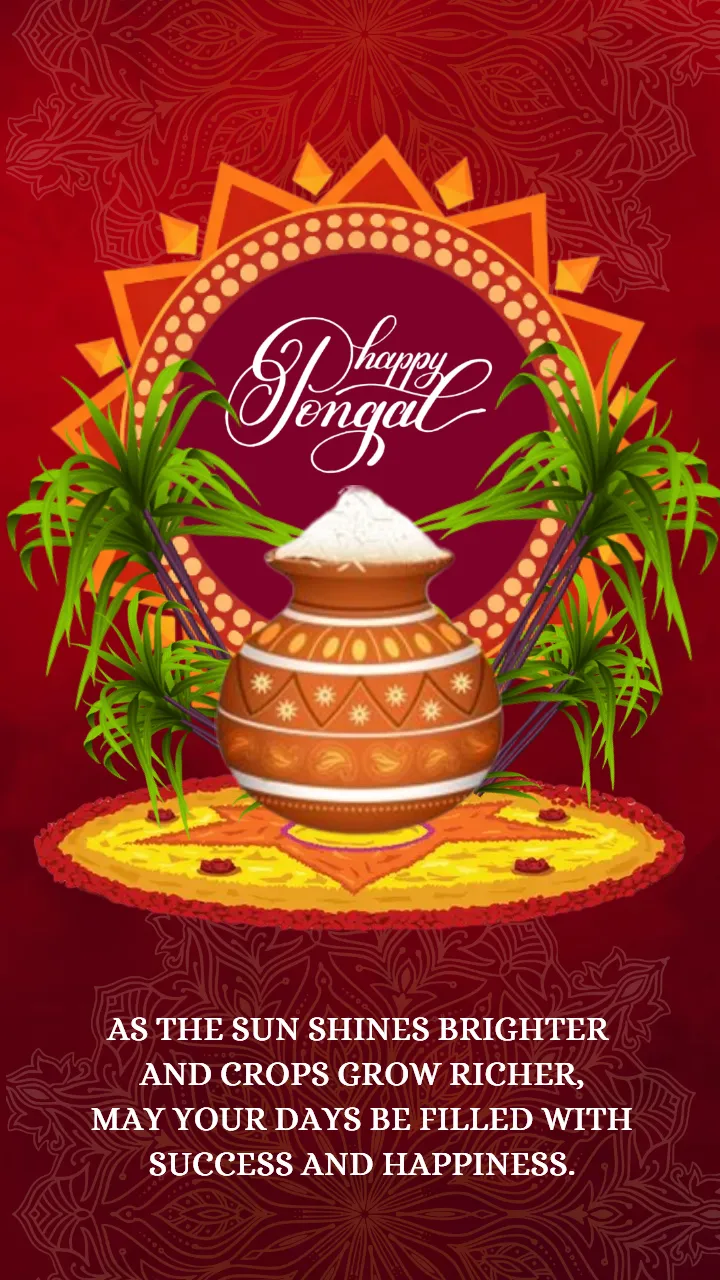 Happy Pongal Status Video with Rangoli and Festive Design