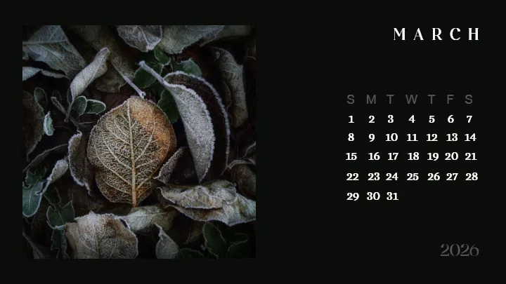 2026 calendar images designed for modern photo calendar