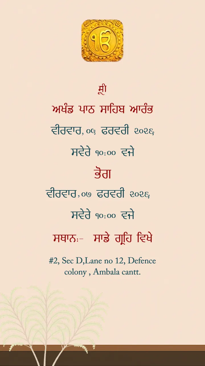 Punjabi Wedding Video Traditional Desi Vibes for Celebration