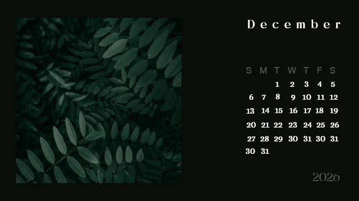 2026 calendar images designed for modern photo calendar