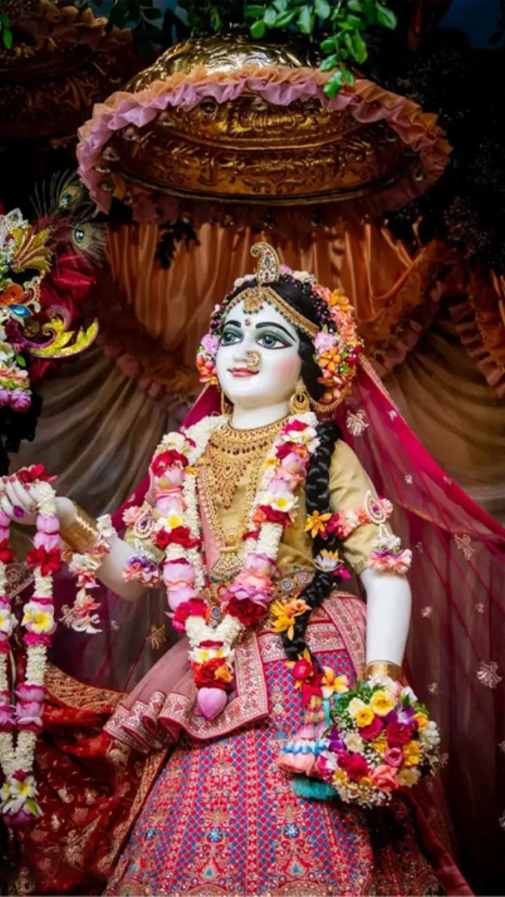 Radha Ashtami Status Video for Social Media Sharing
