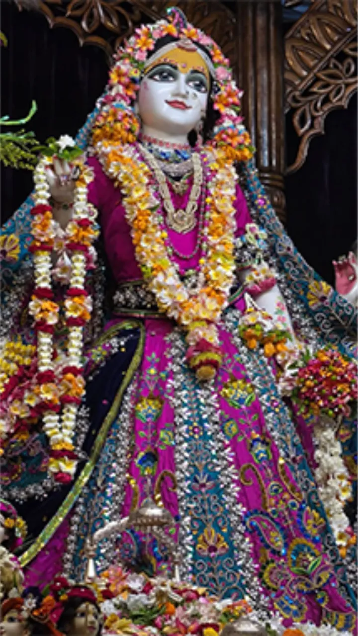 Radha Ashtami Status Video for Social Media Sharing