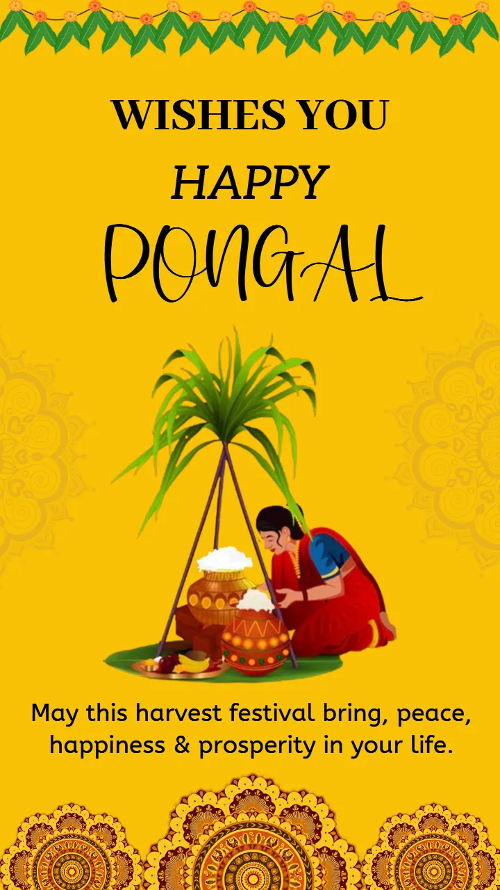 Pongal Status Video With Colorful South Indian Theme