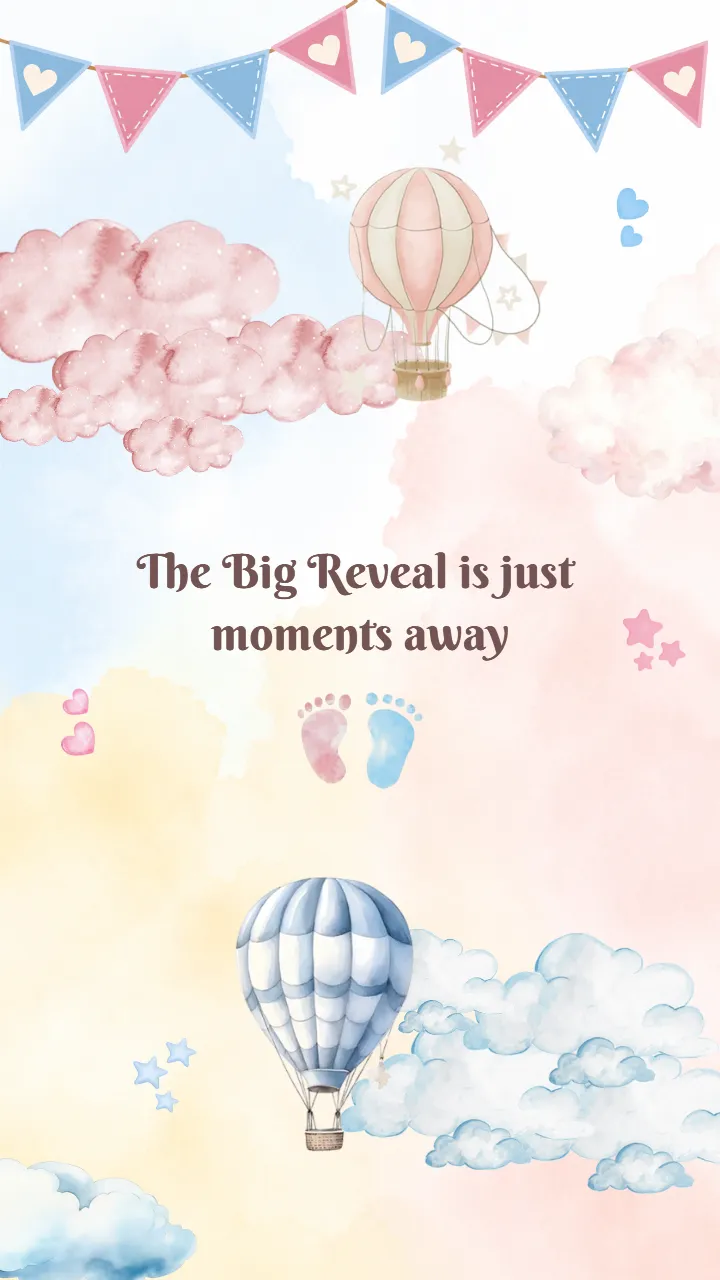Baby Girl Announcement Video Templates for New Parents