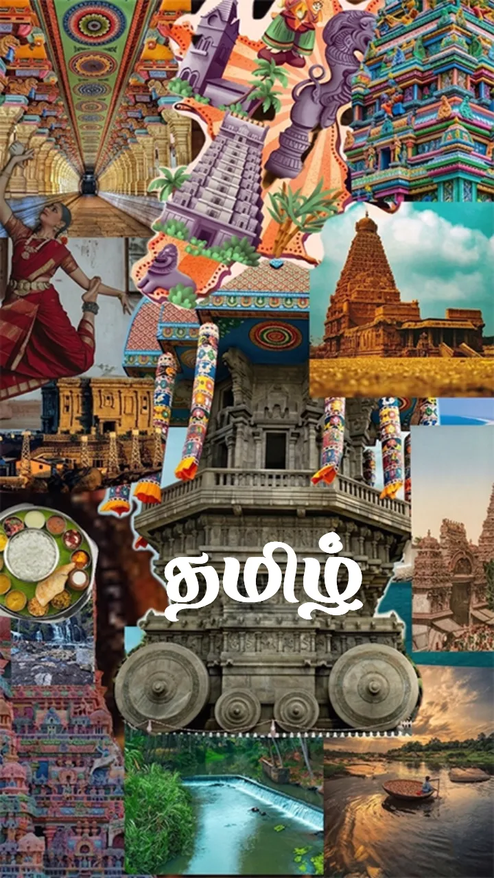 New Year Tamil Status Video MP4 for Social Media Sharing