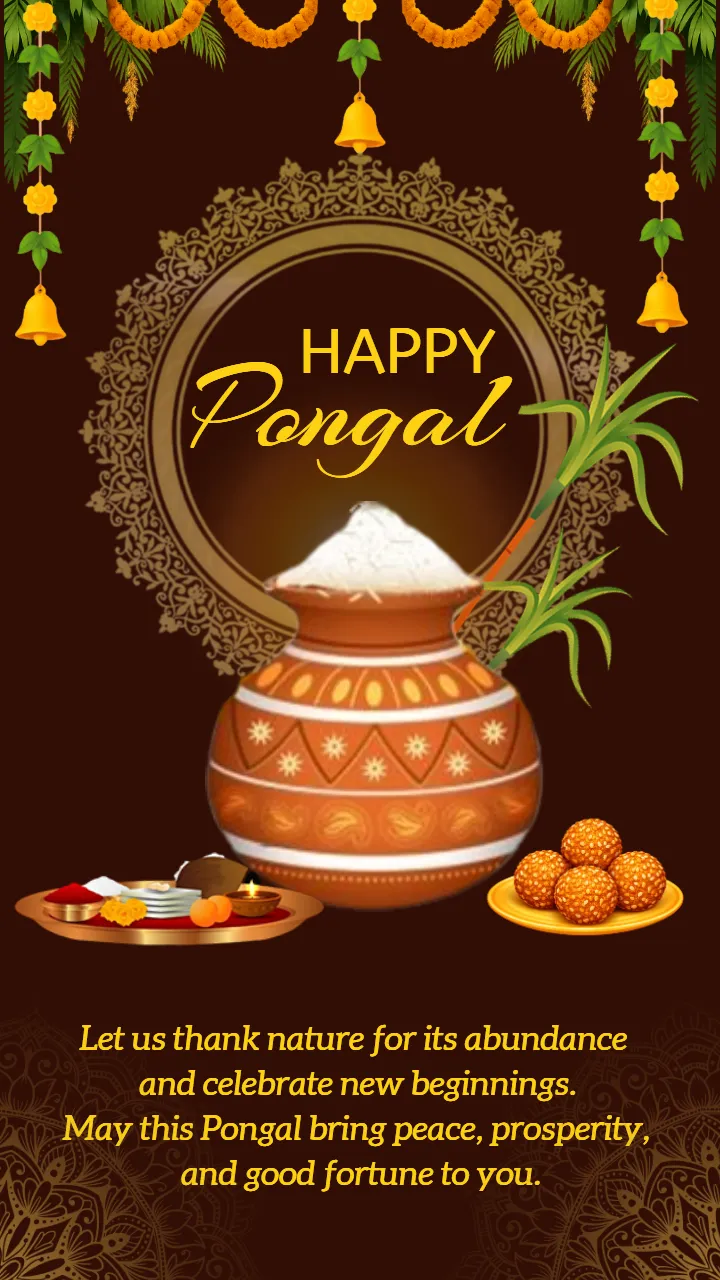 Happy Pongal Status with Rangoli Border and Celebration Mood