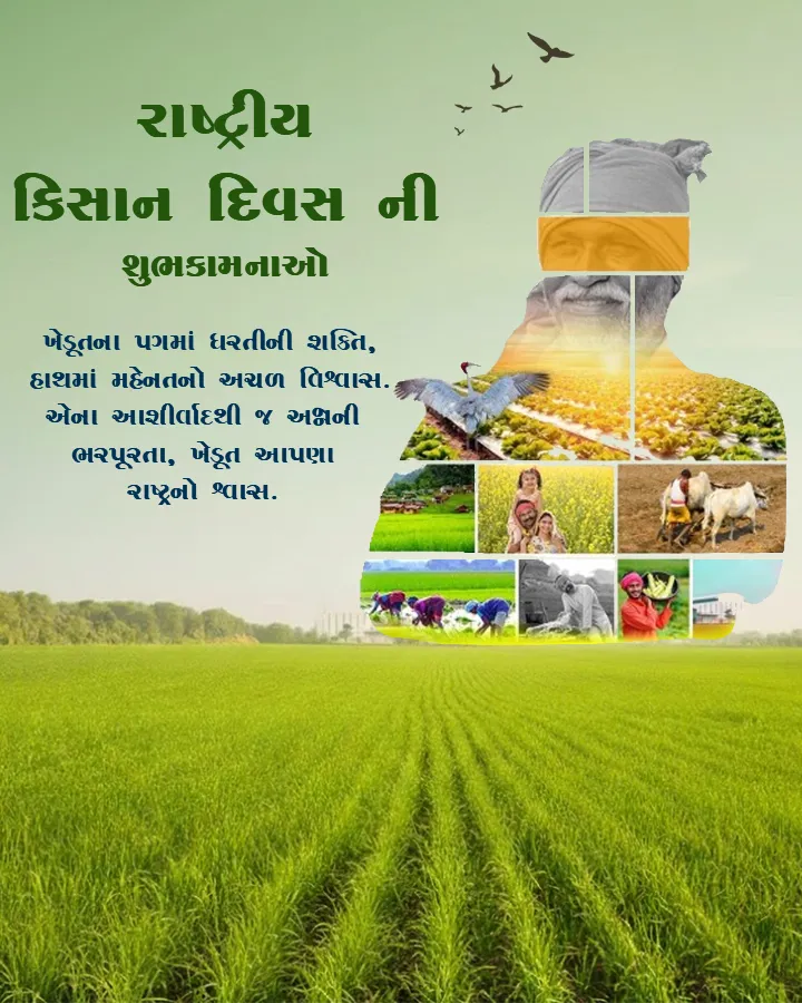 Nation Kisan Diwas Post in Gujarati With Heartfelt Wishes