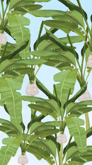 Green Botanical Wedding Invite for Cultural Events