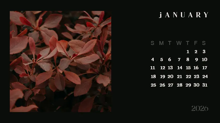 2026 calendar images designed for modern photo calendar