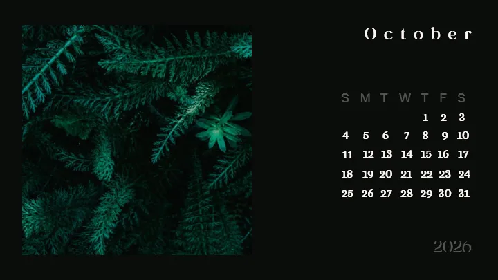 2026 calendar images designed for modern photo calendar