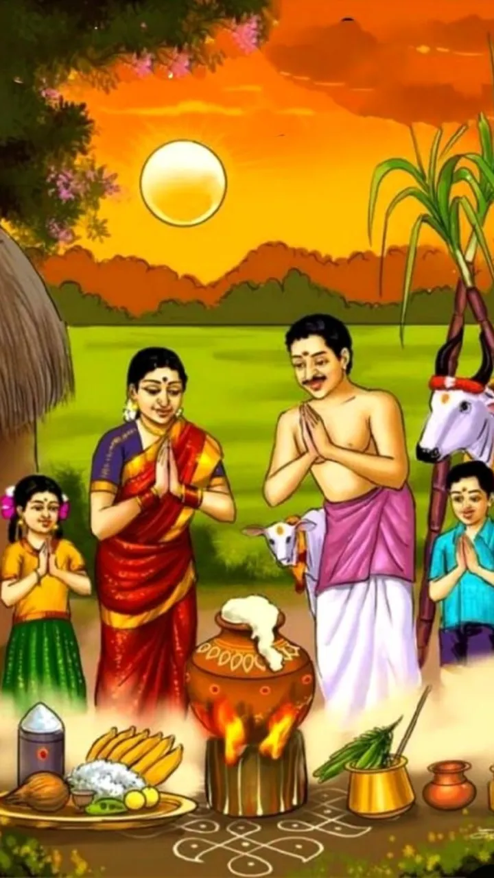 Happy Pongal Status Video with Premium Greeting Card Style