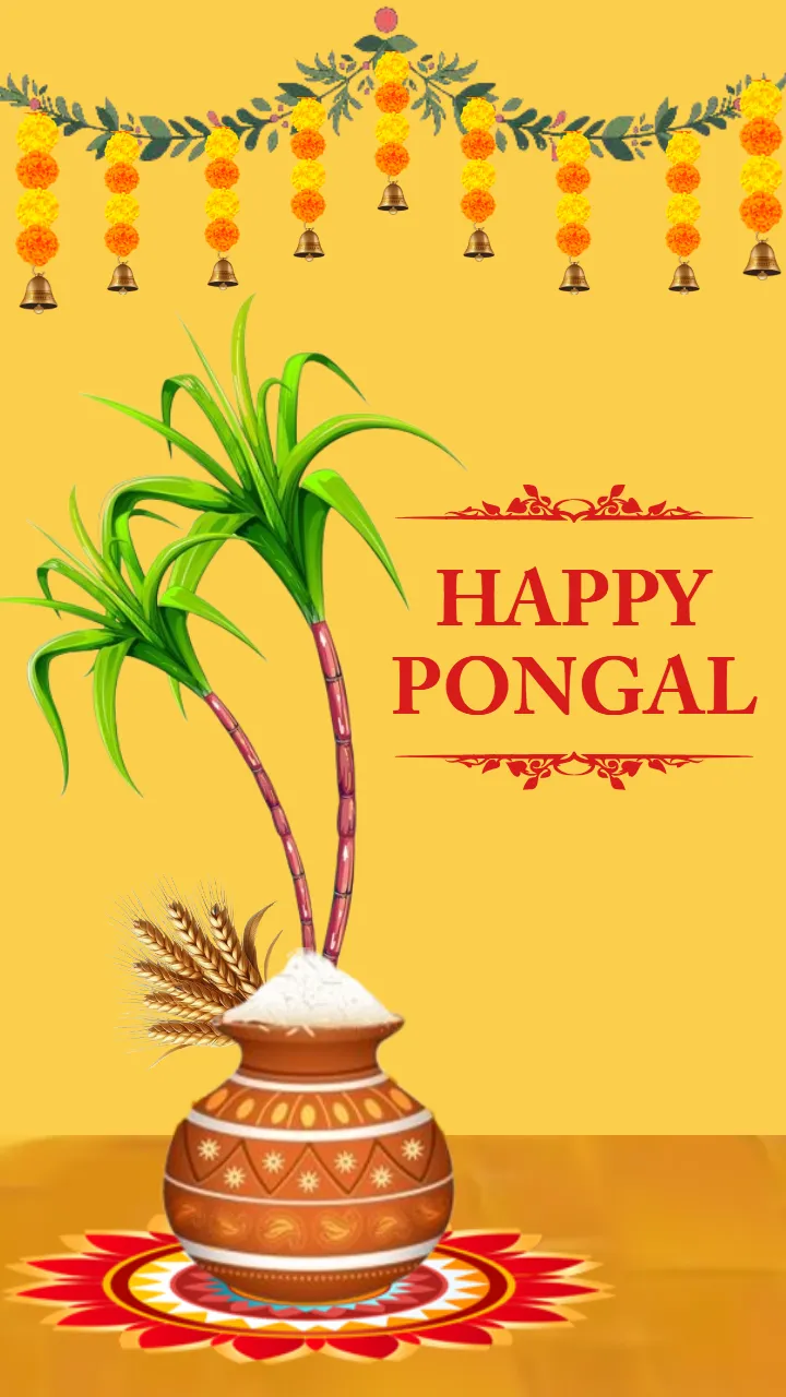 Happy Pongal Status 2026 with Rangoli and Classic Theme