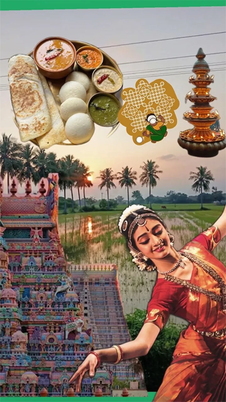 Tamil New Year Status Video Download HD for WhatsApp