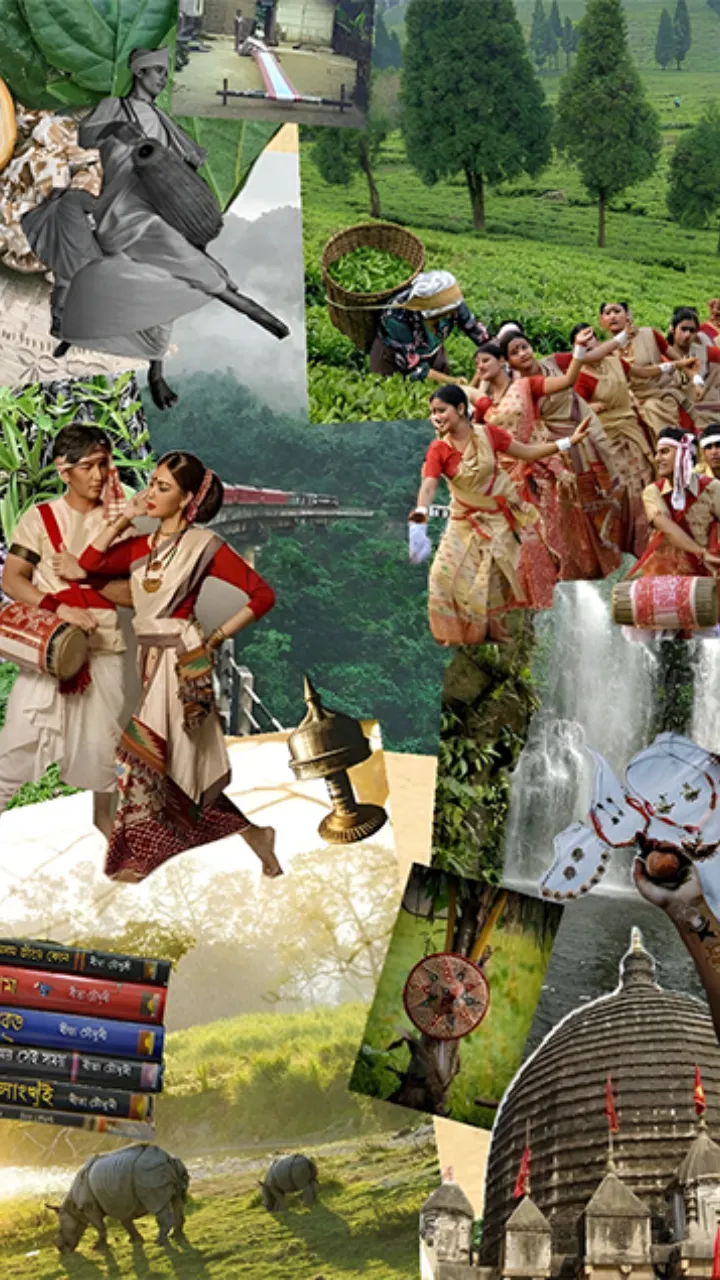 Happy Rongali Bihu Status Video in English HD Download
